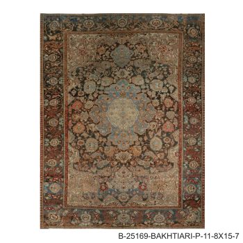 B-25169 BAKHTIARI / P