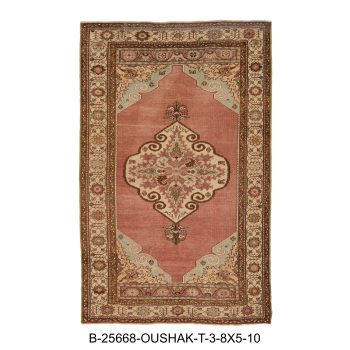 B-25668 OUSHAK / T