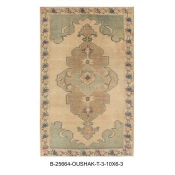B-25664 OUSHAK / T