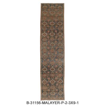 B-31156 MALAYER / P