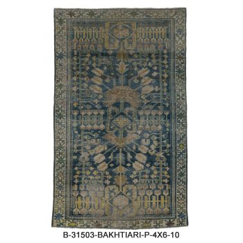 B-31503 BAKHTIARI / P