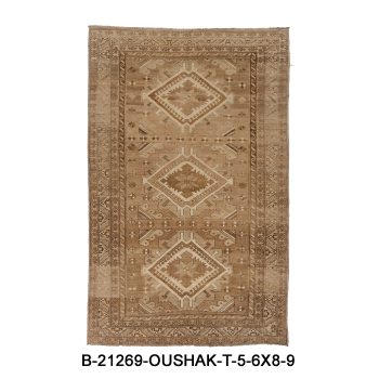 B-21269-OUSHAK-T
