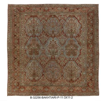 B-32256 BAKHTIARI / P