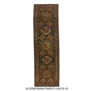 B-32289 BAKHTIARI / P