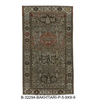 B-32294 BAKHTIARI / P