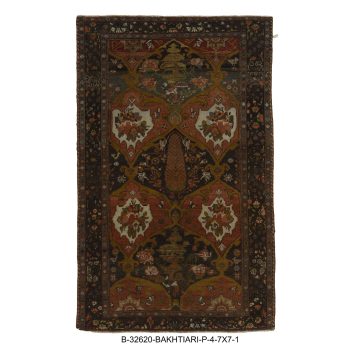 B-32620 BAKHTIARI / P
